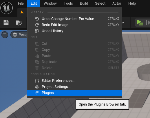 Activate the plugin1